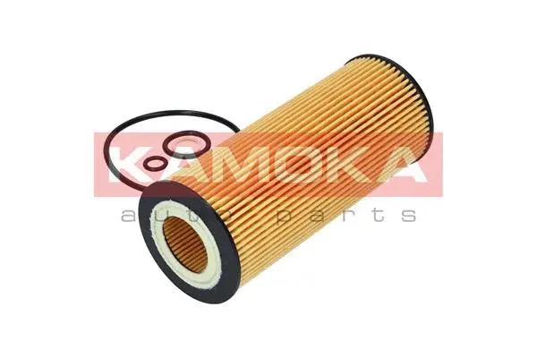Oil Filter (F106101)