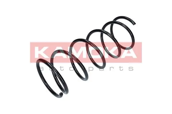 Suspension Spring (2110162)