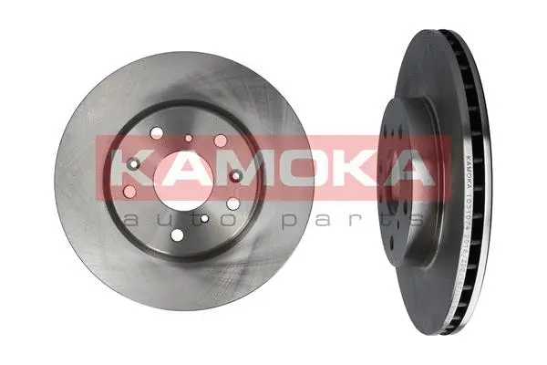 Brake Disc (1031074)