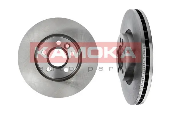 Brake Disc (1031086)