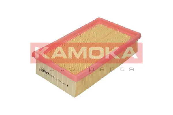 Air Filter (F208501)
