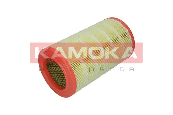 Air Filter (F235701)