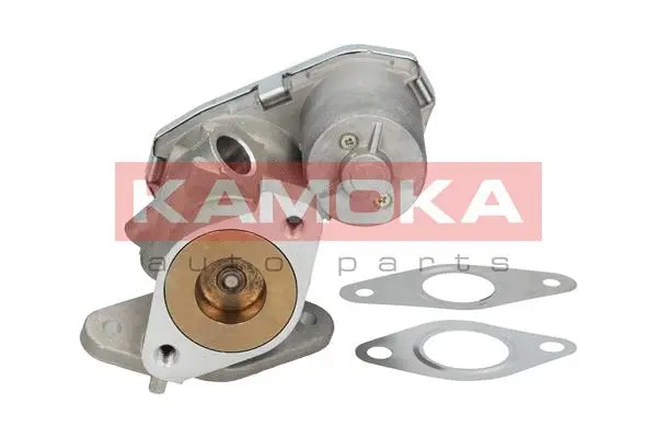 EGR Valve