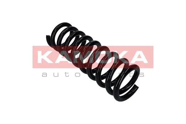 Suspension Spring (2110336)