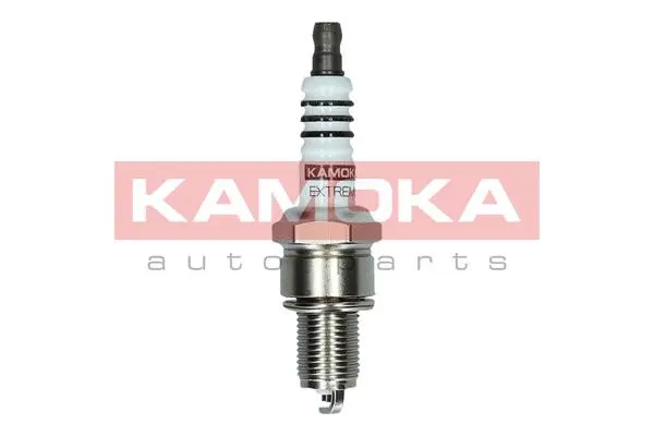 Spark Plug (7090521)