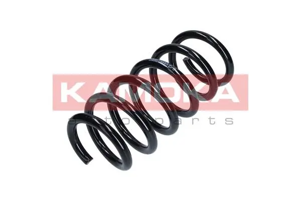 Suspension Spring (2110306)