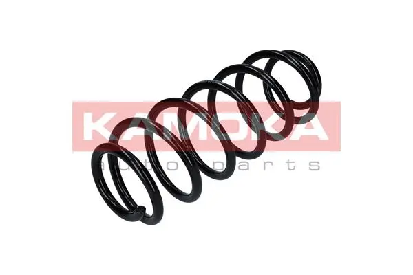 Suspension Spring (2120260)