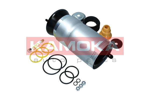 Air Spring, suspension