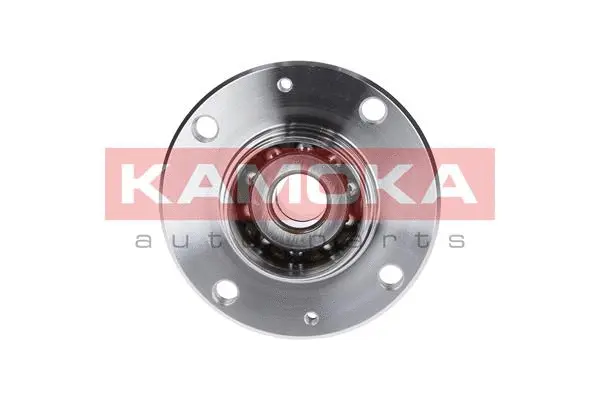 Wheel Bearing Kit (5500004)