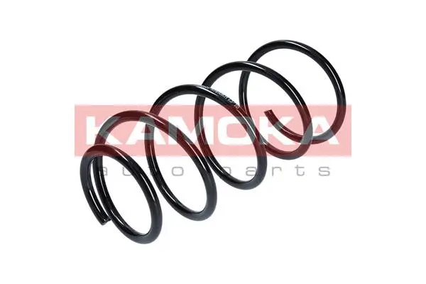 Suspension Spring (2110137)
