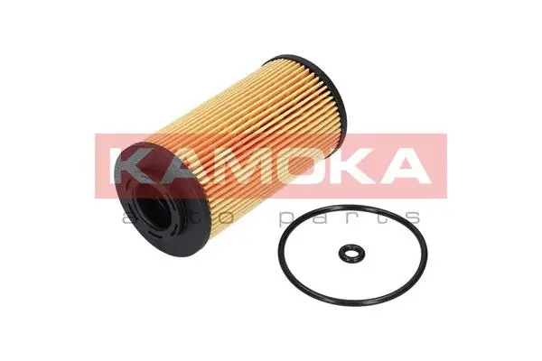 Oil Filter (F111001)