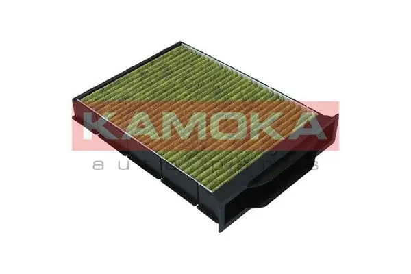 Filter, cabin air (6080023)