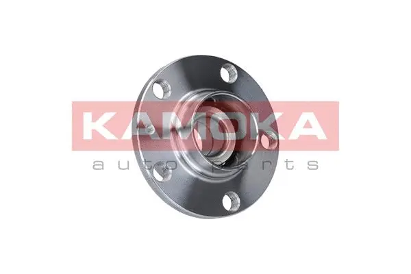 Wheel Bearing Kit (5500024)
