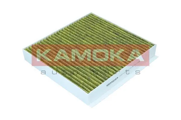Filter, cabin air (6080114)
