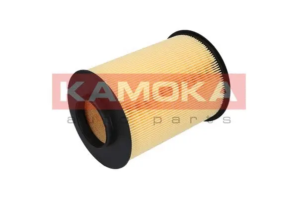 Air Filter (F215801)