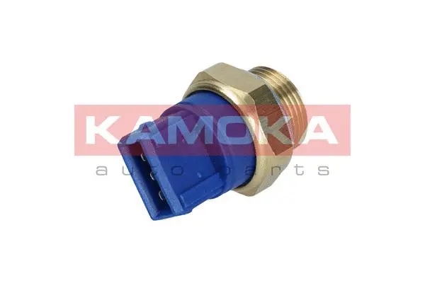 Temperature Switch, radiator fan (4090003)