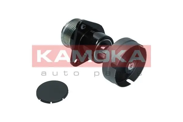 Alternator Freewheel Clutch (RC093)