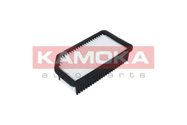 Air Filter (F226201)