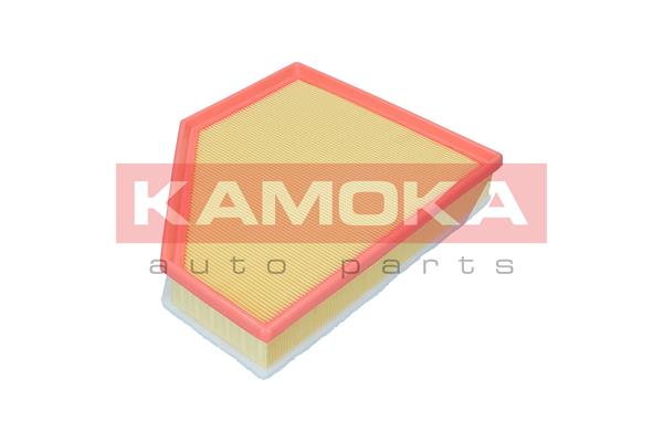 Air Filter (F255401)