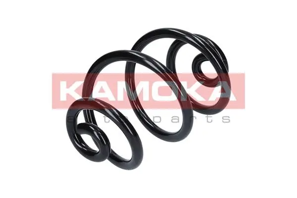 Suspension Spring (2120002)