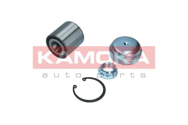 Wheel Bearing Kit (5600184)