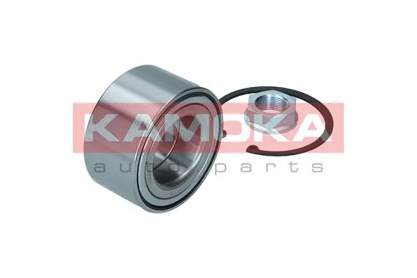 Wheel Bearing Kit (5600097)