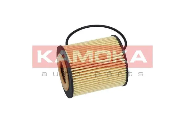 Oil Filter (F110201)
