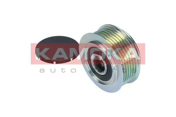 Alternator Freewheel Clutch