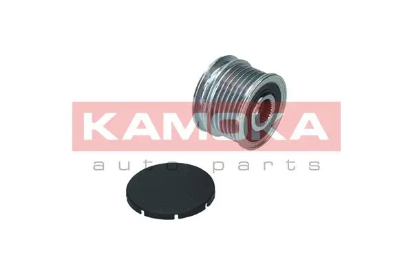 Alternator Freewheel Clutch