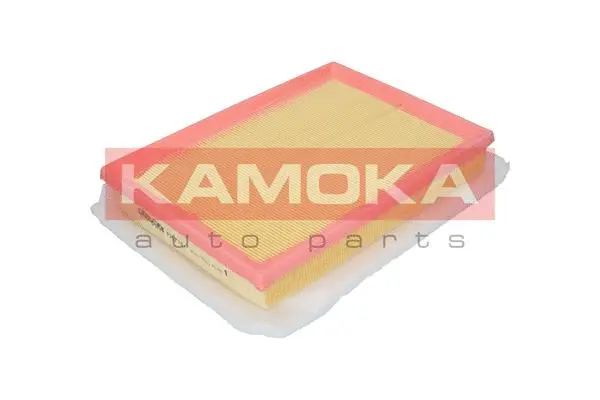 Air Filter (F207101)