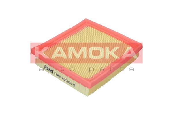 Air Filter (F258901)