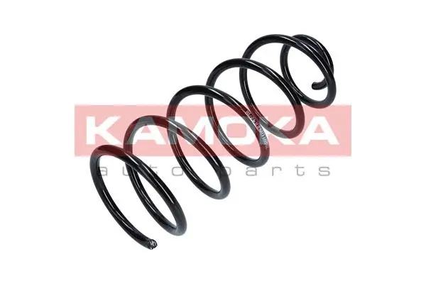 Suspension Spring (2110099)