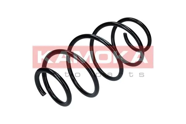 Suspension Spring (2110145)