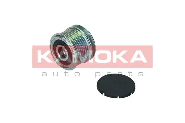 Alternator Freewheel Clutch