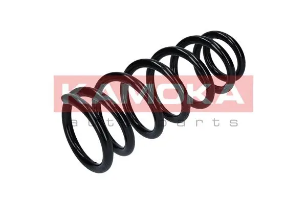 Suspension Spring (2120226)