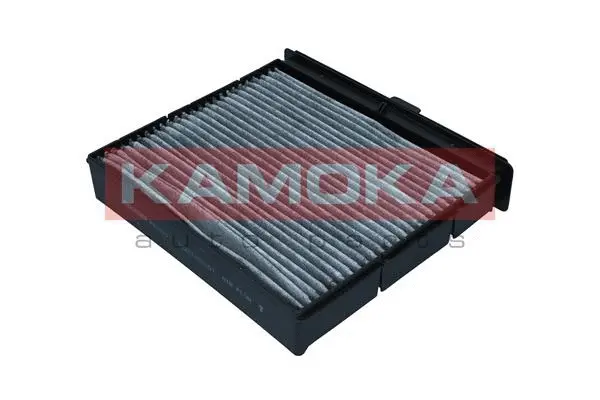 Filter, cabin air (F520201)