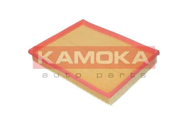 Air Filter (F200601)