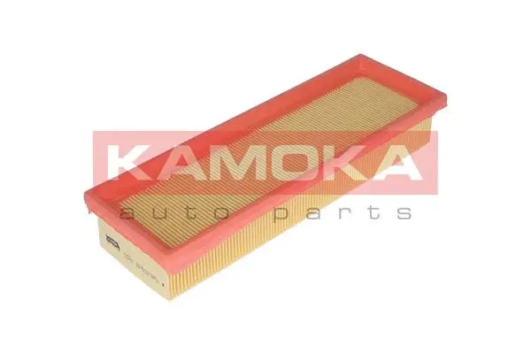 Air Filter (F222801)