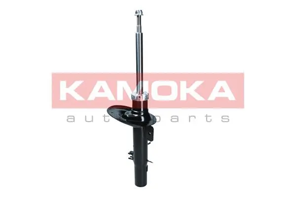Shock Absorber (2000187)