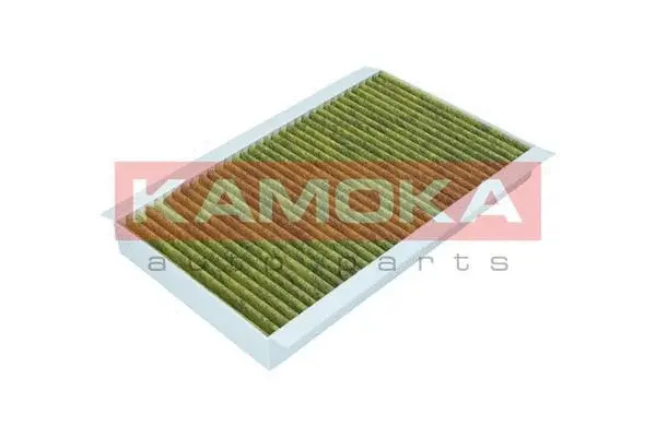 Filter, cabin air (6080094)