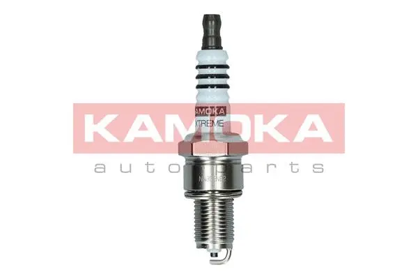 Spark Plug (7090520)