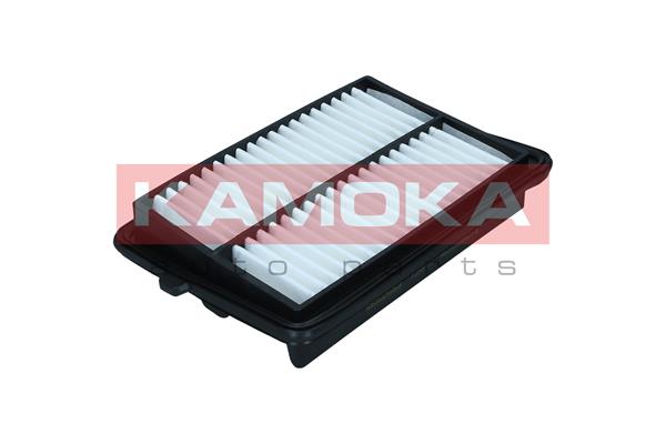 Air Filter (F258701)