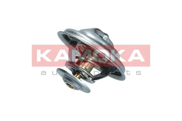 Thermostat, coolant (7710085)