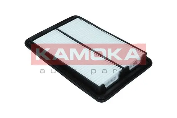 Air Filter (F247501)