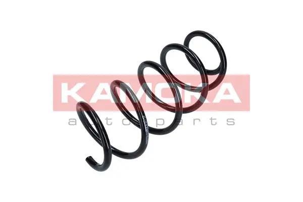 Suspension Spring (2110334)