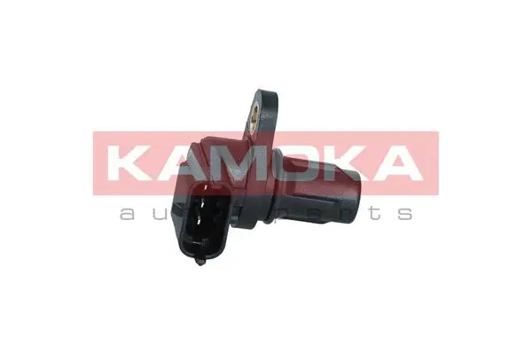 Sensor, camshaft position (108036)