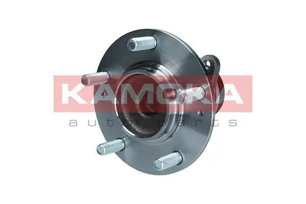 Wheel Bearing Kit (5500269)