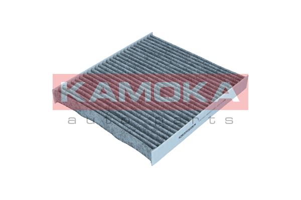 Filter, cabin air (F521601)