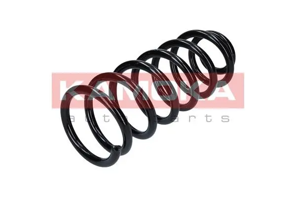 Suspension Spring (2120131)