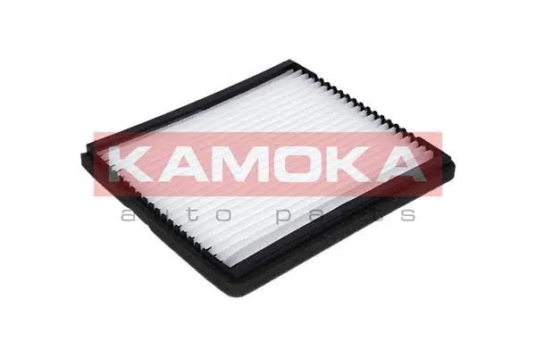 Filter, cabin air (F405301)